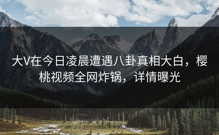 大V在今日凌晨遭遇八卦真相大白，樱桃视频全网炸锅，详情曝光