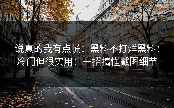 说真的我有点慌：黑料不打烊黑料：冷门但很实用：一招搞懂截图细节