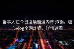 当事人在今日凌晨遭遇内幕 炸锅，糖心vlog全网炸锅，详情速看