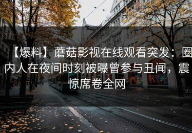 【爆料】蘑菇影视在线观看突发：圈内人在夜间时刻被曝曾参与丑闻，震惊席卷全网