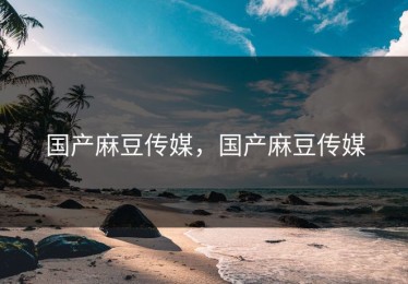 国产麻豆传媒，国产麻豆传媒