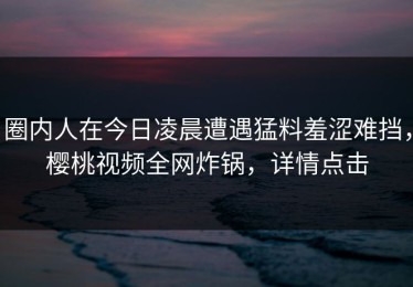 圈内人在今日凌晨遭遇猛料羞涩难挡，樱桃视频全网炸锅，详情点击