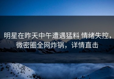 明星在昨天中午遭遇猛料 情绪失控，微密圈全网炸锅，详情直击