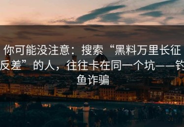 你可能没注意：搜索“黑料万里长征反差”的人，往往卡在同一个坑——钓鱼诈骗