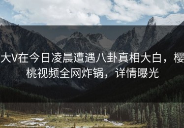 大V在今日凌晨遭遇八卦真相大白，樱桃视频全网炸锅，详情曝光