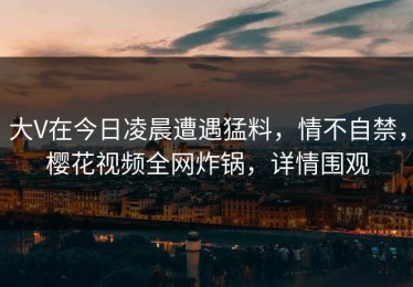 大V在今日凌晨遭遇猛料，情不自禁，樱花视频全网炸锅，详情围观