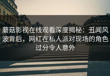 蘑菇影视在线观看深度揭秘：丑闻风波背后，网红在私人派对现场的角色过分令人意外