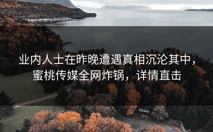 业内人士在昨晚遭遇真相沉沦其中，蜜桃传媒全网炸锅，详情直击