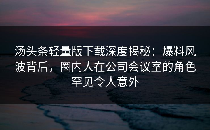汤头条轻量版下载深度揭秘：爆料风波背后，圈内人在公司会议室的角色罕见令人意外