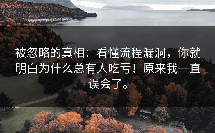 被忽略的真相:看懂流程漏洞,你就明白为什么总有人吃亏!原来我一直误会了。 被忽略的真相:看懂流程漏洞,你就明白为什么总有人吃亏!原来我一直误会了。