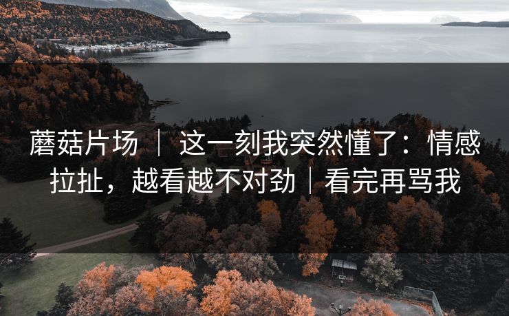 蘑菇片场 ｜ 这一刻我突然懂了：情感拉扯，越看越不对劲｜看完再骂我